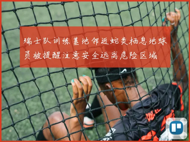 瑞士队训练基地邻近蛇类栖息地球员被提醒注意安全远离危险区域