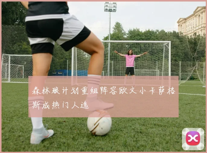 森林狼计划重组阵容欧文小卡萨格斯成热门人选