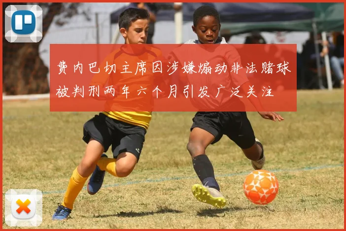费内巴切主席因涉嫌煽动非法赌球被判刑两年六个月引发广泛关注